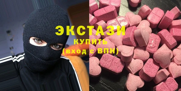 индика Тавда