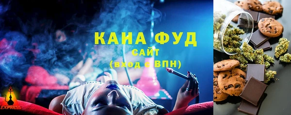 индика Тавда