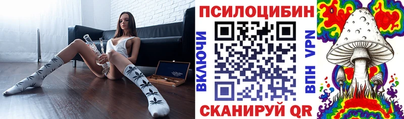 mega зеркало  Мценск  даркнет формула  Галлюциногенные грибы Psilocybe 